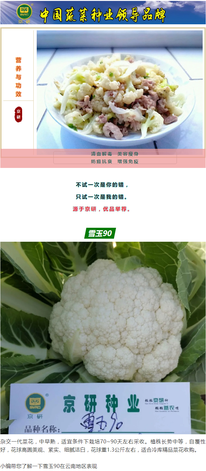 白如雪、碧似玉——雪玉90_01.jpg